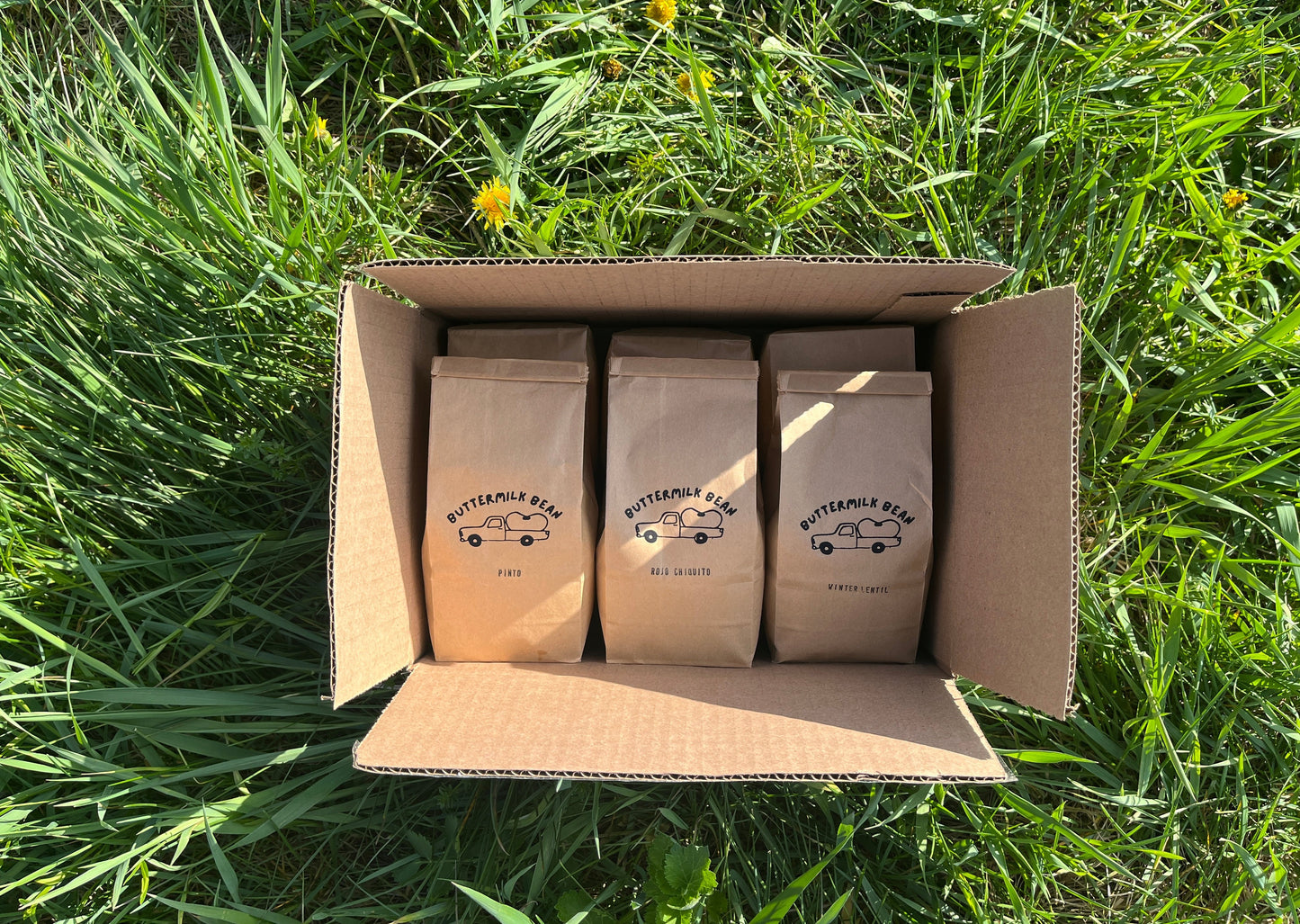 Mail Order Spring Share