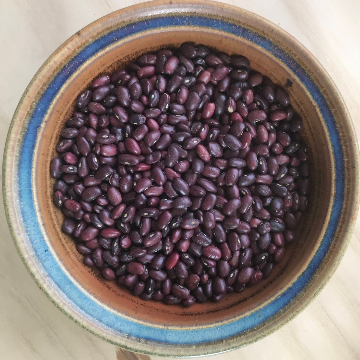 Brown ceramic bowl filled with black beans on a white background